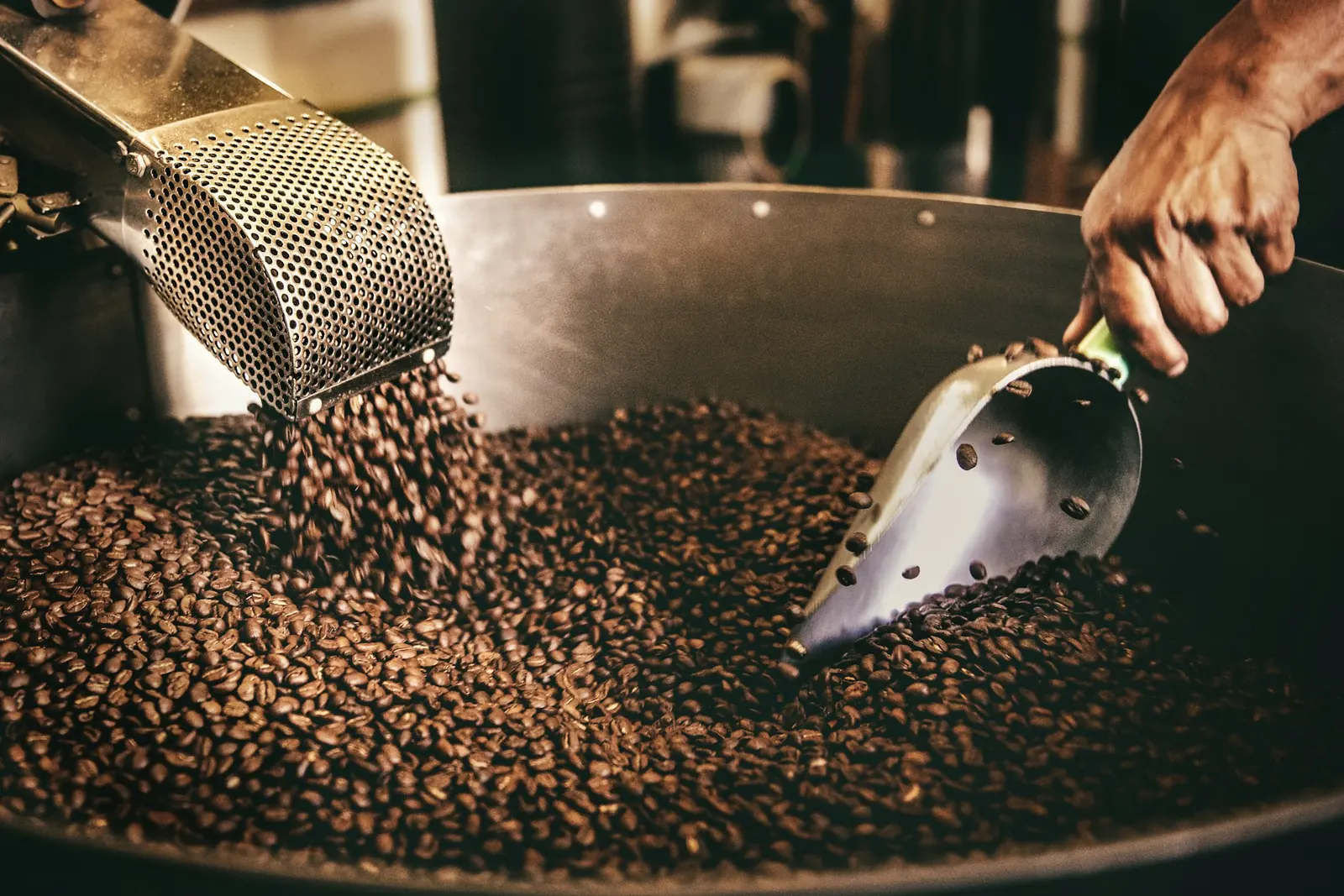 Een hand schept vers gebrande koffiebonen om in de brander